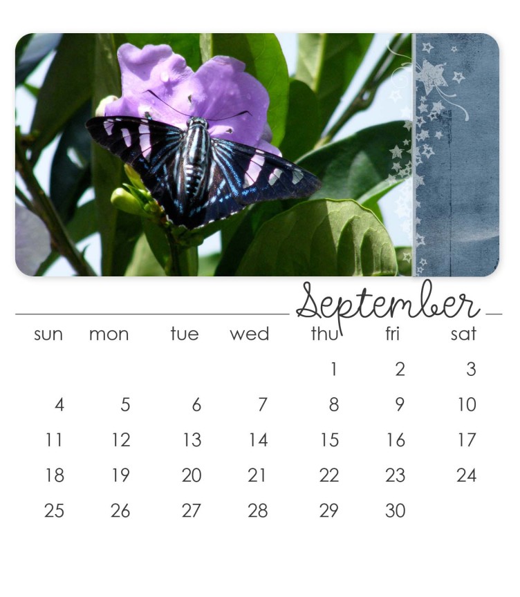 September 2011 CD Calendar
