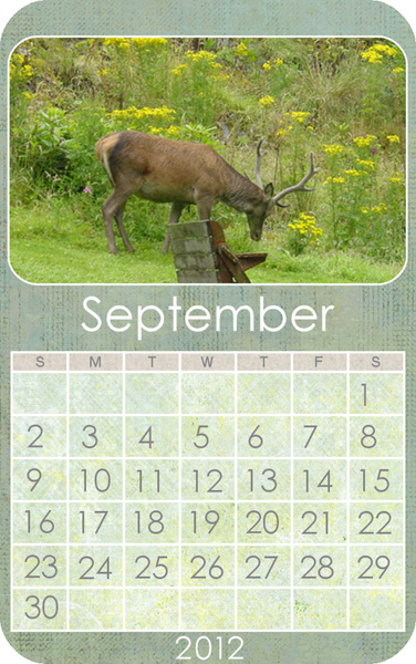 September