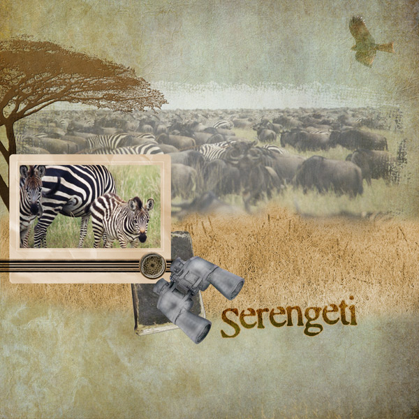 Serengeti