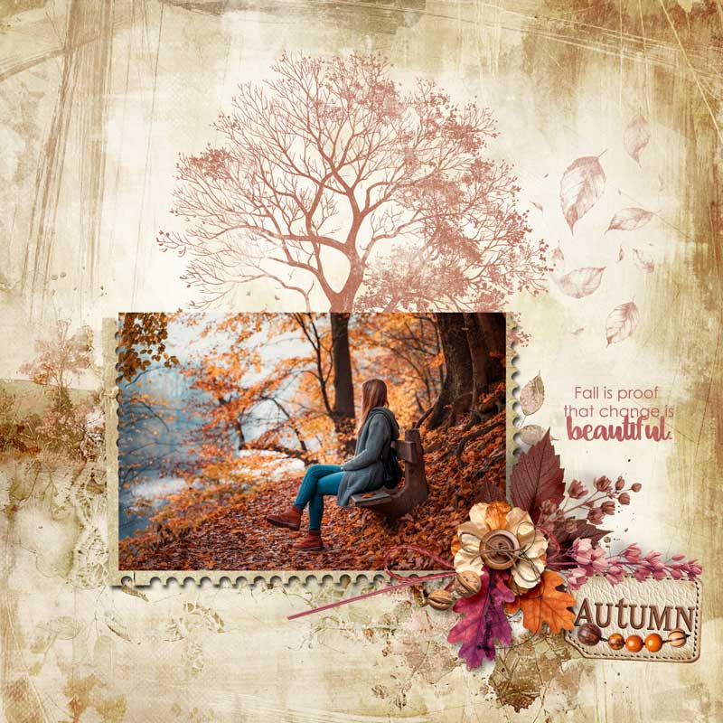 shades-of-autumn-palvinka.jpg