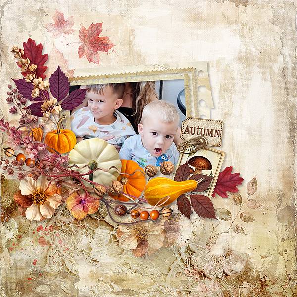 Shades Of Autumn