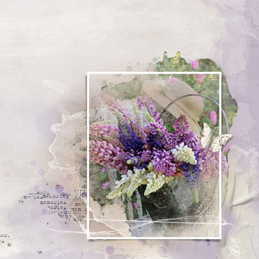 Shades of Lavendar/Anna chall