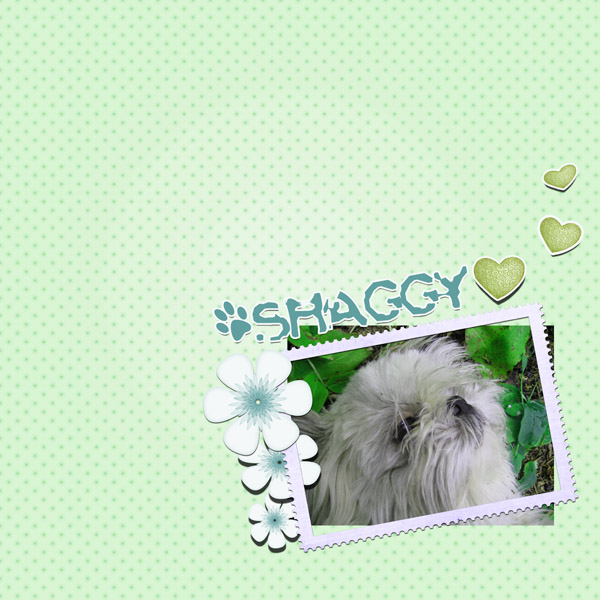 shaggy