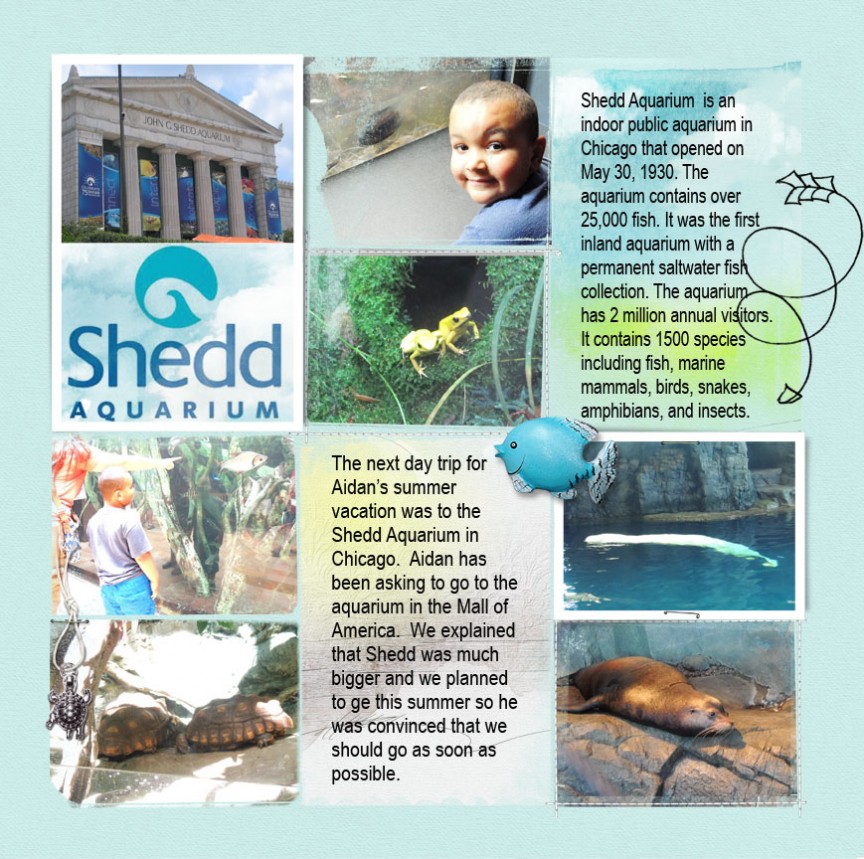 Shedd Left