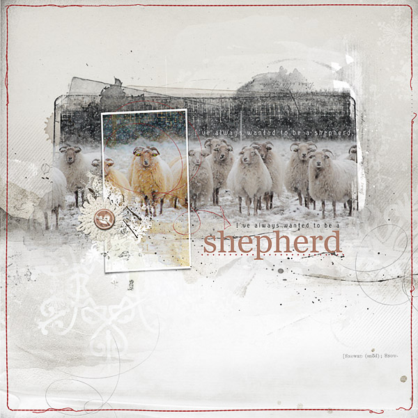 shepherd