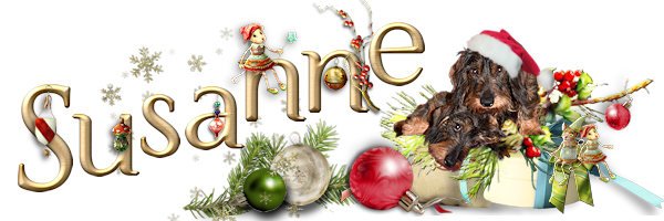 Siggy Christmas_25.jpg