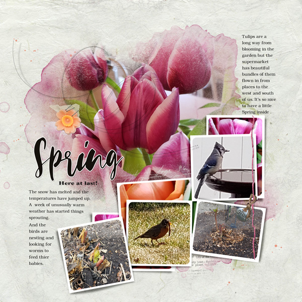 Signs of Spring