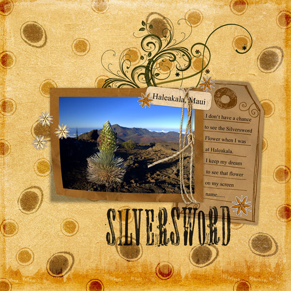 Silversword
