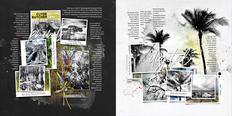 Simple Digital Scrapbook Photo Book Project • February