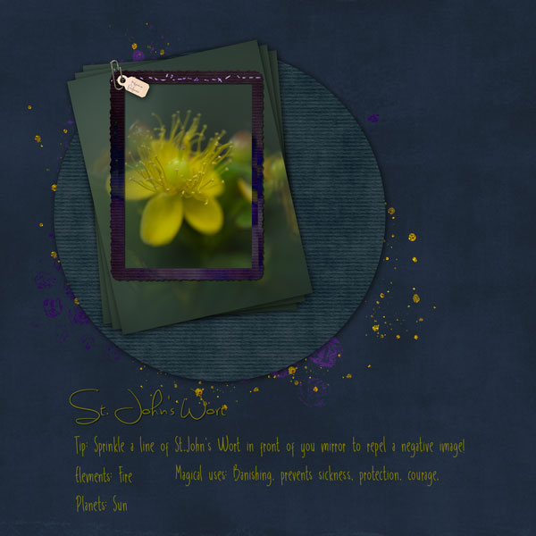 sketch-yellow-flower.jpg