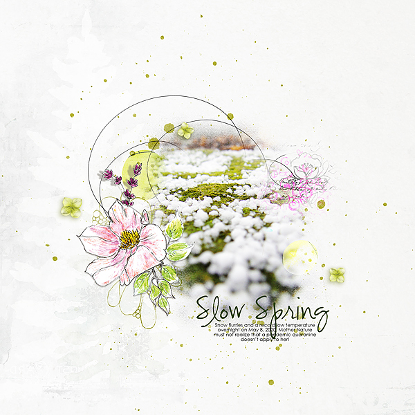 Slow Spring