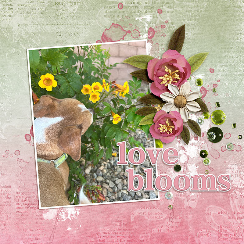 Smell the Flowers