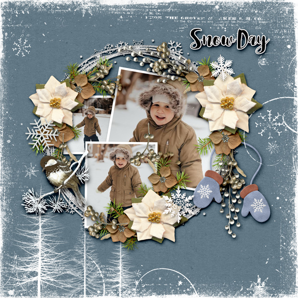 Snow-Day