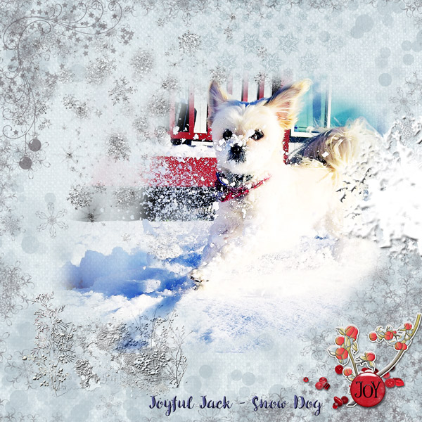 Snow Dog