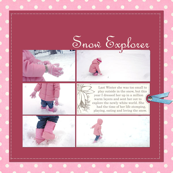 Snow Explorer
