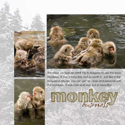 Snow Monkeys