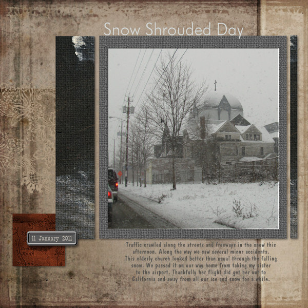 Snow Shrouded Day