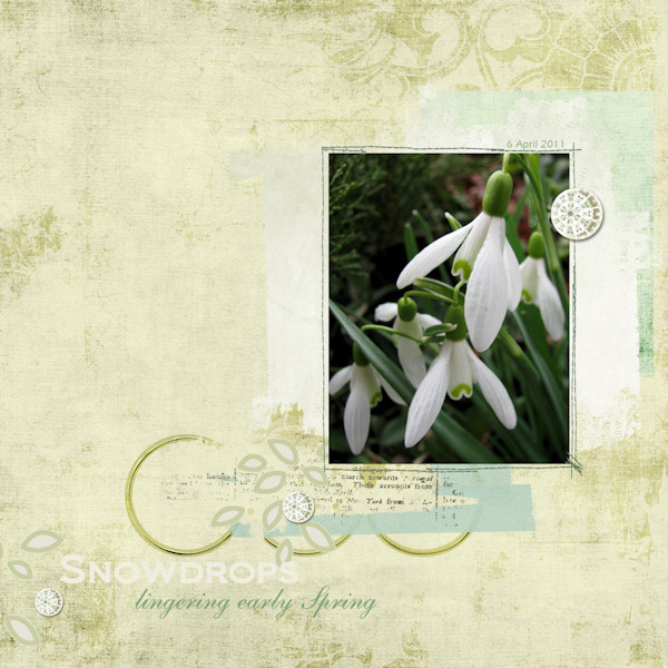 Snowdrops