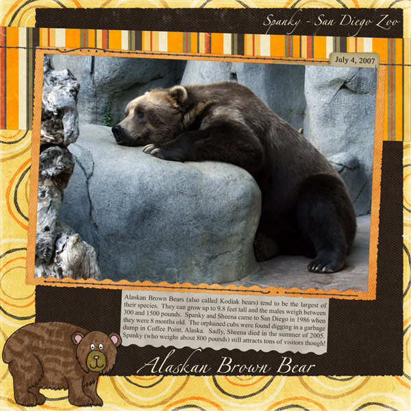 Spanky the Alaskan Brown Bear