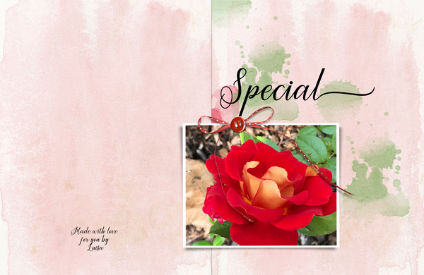 Special - 100th birthday card