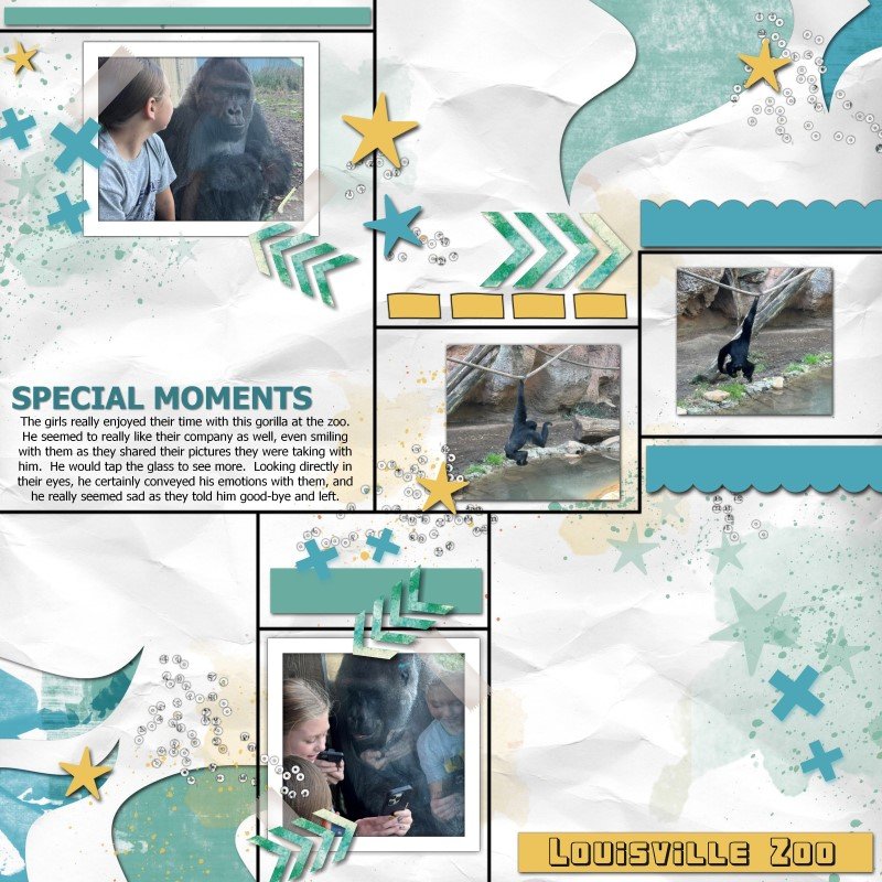 Special Moments
