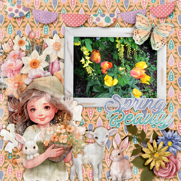 Spring-beauty.jpg