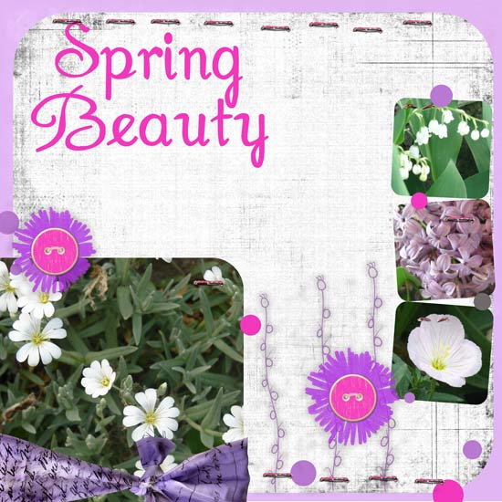 spring beauty