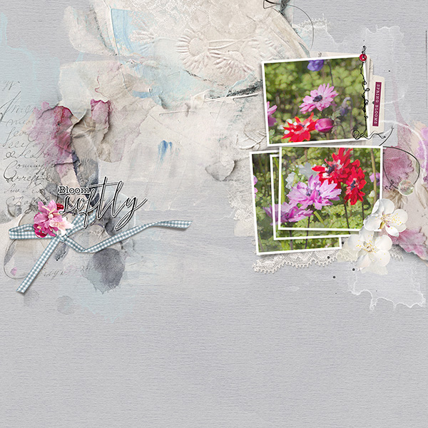 Spring Blooms