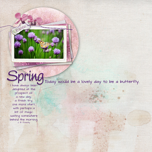 Spring Butterfly