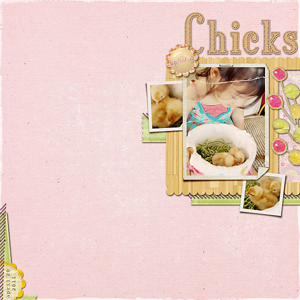 spring chicks