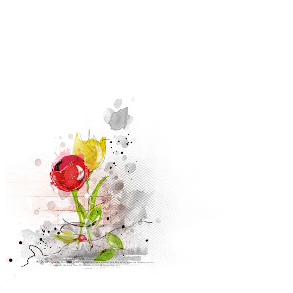 Spring Flowers...