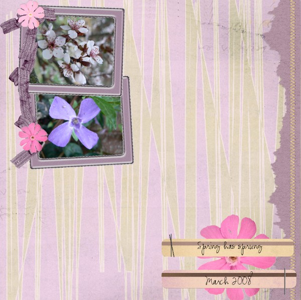 Spring Has Sprung