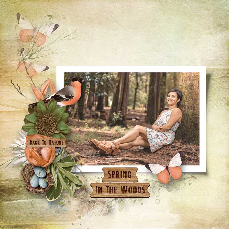 spring-in-the-woods-palvink.jpg