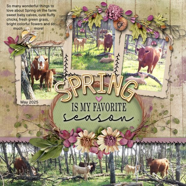 Spring is my Favorite Season