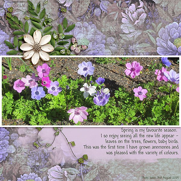 Spring is my Favourite Season