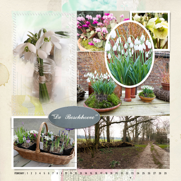 Spring is on its way-01