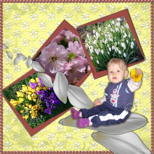 Spring