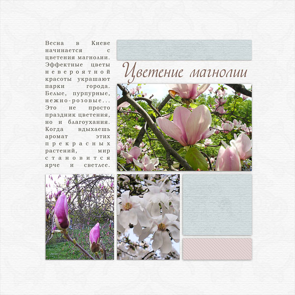 spring