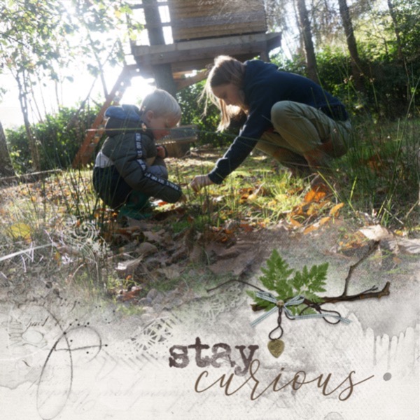 Stay Curious