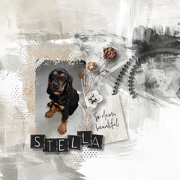 Stella