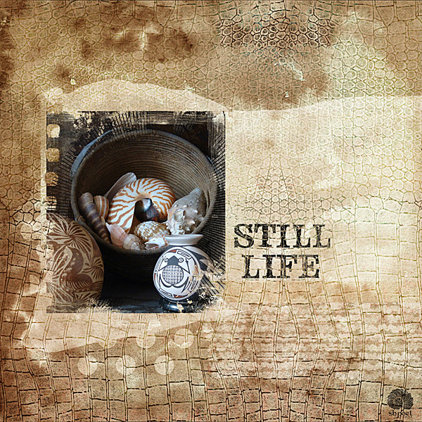 Still Life