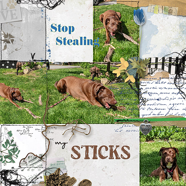 Stop Stealing my Sticks