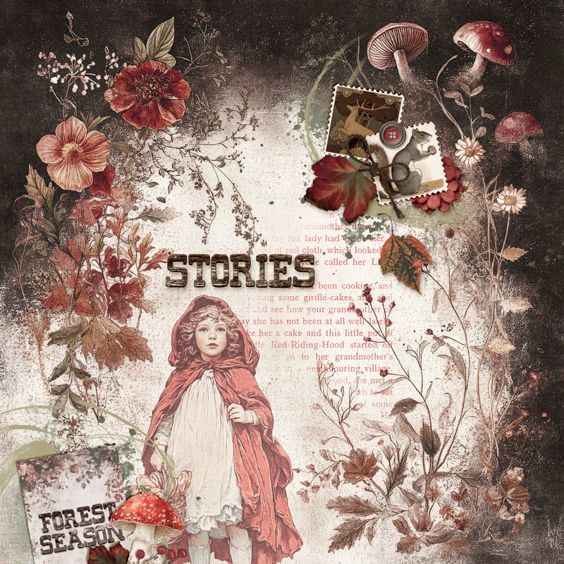 STORIES.jpg