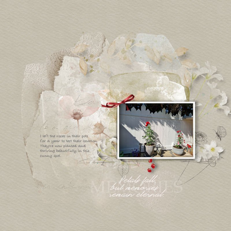 Story in Petals.jpg