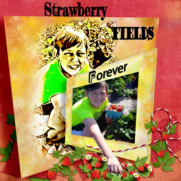 Strawberry Fields Forever