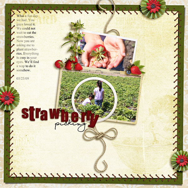 Strawberry Picking