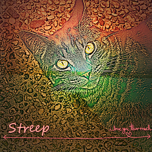 Streep