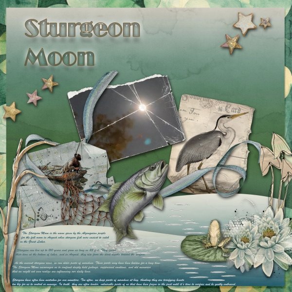 Sturgeon Moon.jpg