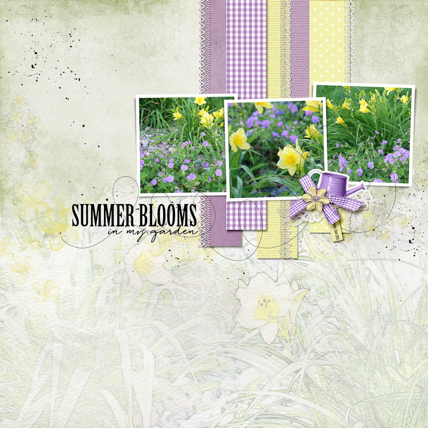 Summer Blooms