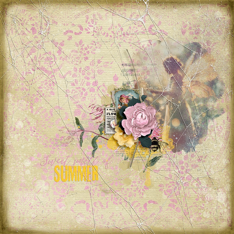 Summer Dreams